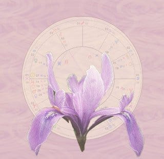 Iris, círculos e mapa astrológico