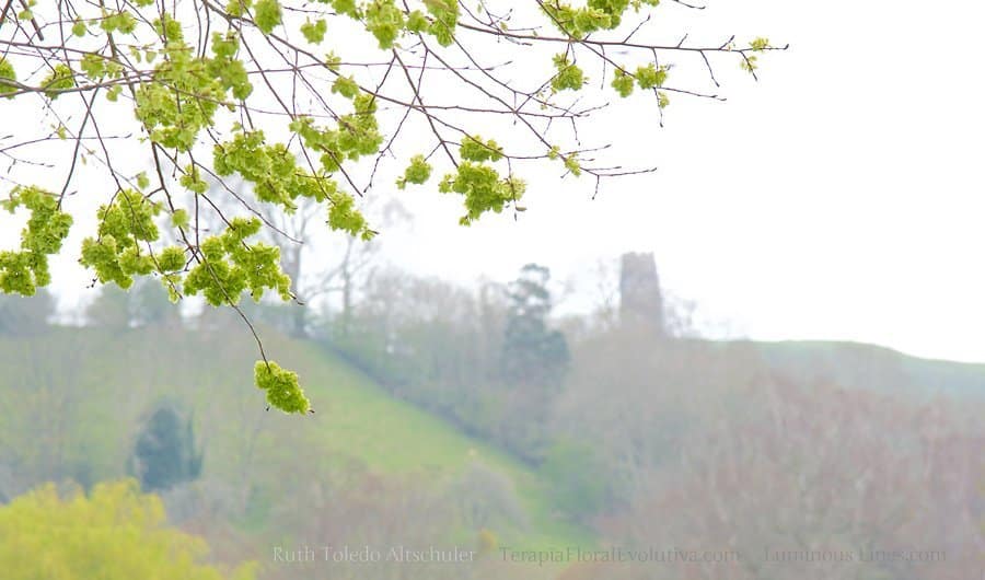 Torre construída no topo do monte (Ilha de Avalon) em Glastonbury, Grã Bretanha